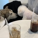 무병짱수