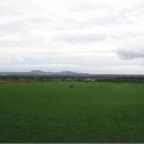 부영CC 관광호텔 이미지