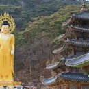 법주사 - 경상북도 군위군 | 법주사