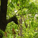 은평-016 이미지