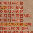 윤호손수호두파이 - 고양시 일산서구 일산로741번길 5-10 | 윤호손수호두파이