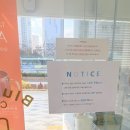 블루샥커피세종 | 세종 블루샥 후기 | 샥라떼 맛집, 가성비 좋은 세종 카페 추천