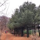 올레길 산림형 2코스 이미지