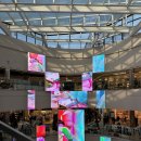 일상로그 | [쌍둥이임신 31주3일차] 임신후기 일상로그