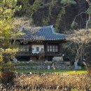 풍산중앙길(풍산읍) 이미지