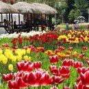 내동 진입로 이미지