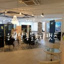 살롱블롱디캣츠 네이버블로그
