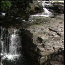 경기민박 이미지