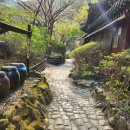 숲속의다향 이미지