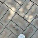 2024 25회 전주국제영화제 후기..지만 영화는 하나만 본 이야기