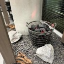 뉴김밥도둑 이미지