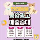 고양이입양소 | 고양이입양 광고, ‘감동’이 빠지면 클릭도 안 된다