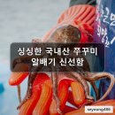 팔색조펜션 | 싱싱한 국내산 활쭈꾸미 서해안 알배기 알 주꾸미 생물 냉동 현명한 선택
