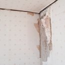 군포시립매화어린이집 이미지