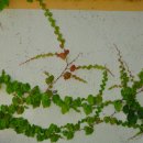 남일면사무소 이미지