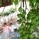 중흥2동 행정복지센터 앞 이미지