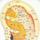 테라피+12 | 테라피 12