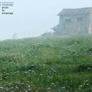 새벽목장 이미지