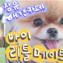 마이리틀메이트 이미지