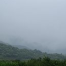 [피아골]비오는 날의 수채화 이미지