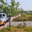 나래솔공원 이미지