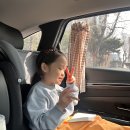 미니호텔풍뎅이 | 5살 아이와 대전 1박 2일 첫번째 (오씨칼국수 도룡점, 대전곤충생태관, 천연기념물센터, 원조태평소국밥...