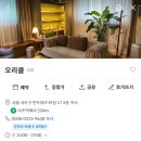 오리클 사주 방문 정보 총집합! 찐후기, 가격, 예약팁 모음