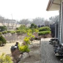 수림조경 이미지