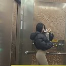 우리들김밥 | 해운대시장 우리충무김밥 후기