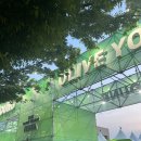 2025 올리브영 페스타 평일 저녁권 내돈내산 솔직후기(+꿀팁)