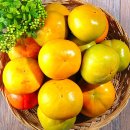 유림농장 이미지