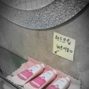 코지그린 이미지
