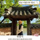 퇴로로 | 경남 이팝나무 명소 밀양 위양지 | 영화촬영지 포토존 및 이팝나무 개화상황