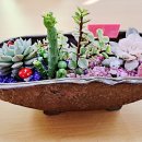 줄포중학교 이미지