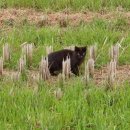 영상강 농장 이미지