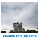 그늘막114 이미지