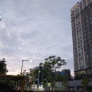 세탁소가는날 이미지