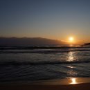 고성국화꽃향기 이미지