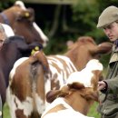 시골왕족 이미지