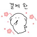 모던스탠다드의원 이미지