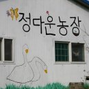 정다운 한우 이미지