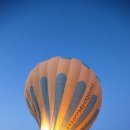 화이트벨리 이미지