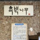 측백장어 이미지