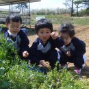 서창농장 이미지