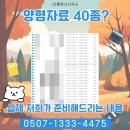 보성행정사사무소 이미지