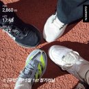 맨땅에 헤딩하면 아프다.