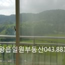 일원본-102 네이버블로그