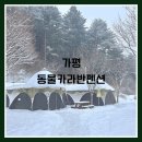 동물카라반펜션 | 가평 반려동물 동반 글램핑장 동물카라반펜션 후기