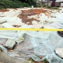 김영욱농장 이미지