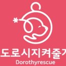 지켜줄개 이미지